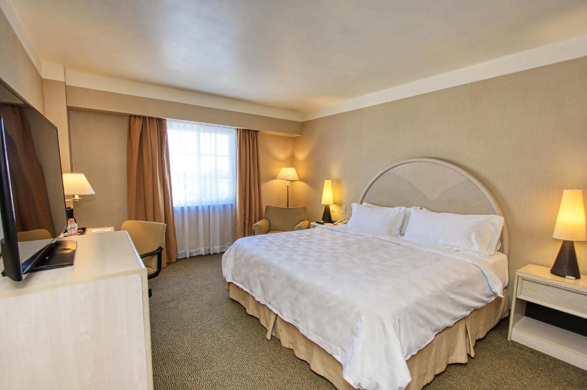 Holiday Inn Leon-Convention Center By Ihg Exteriér fotografie